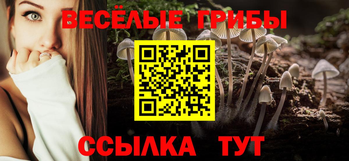 Галлюциногенные грибы прущие грибы Геленджик