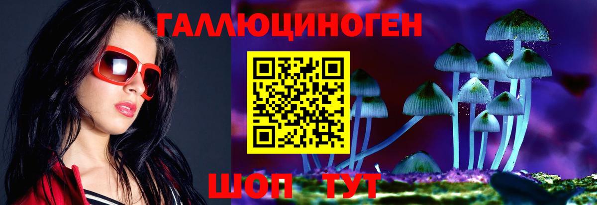 Геленджик  Псилоцибиновые грибы Psilocybine cubensis  Вход с VPN 